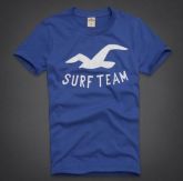 Camiseta Hollister Surf Team